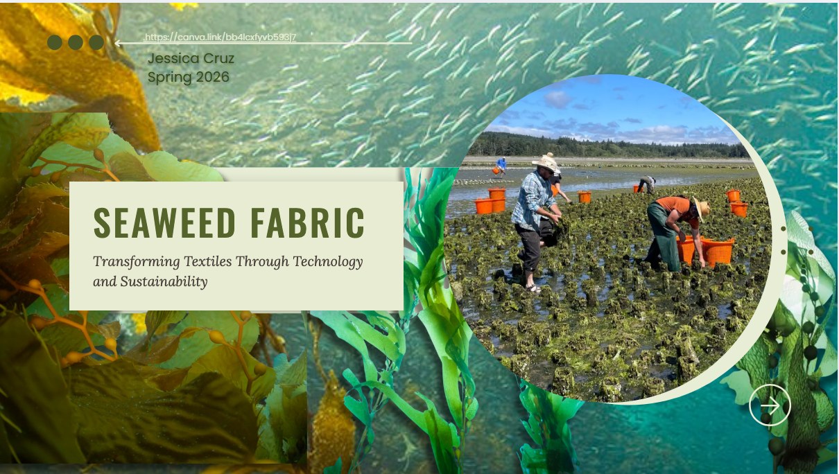 Sustainable seaweed fabric presentation
